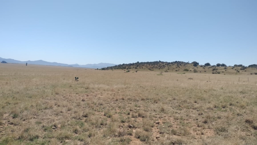  Bedroom Property for Sale in Bloemfontein Rural Free State